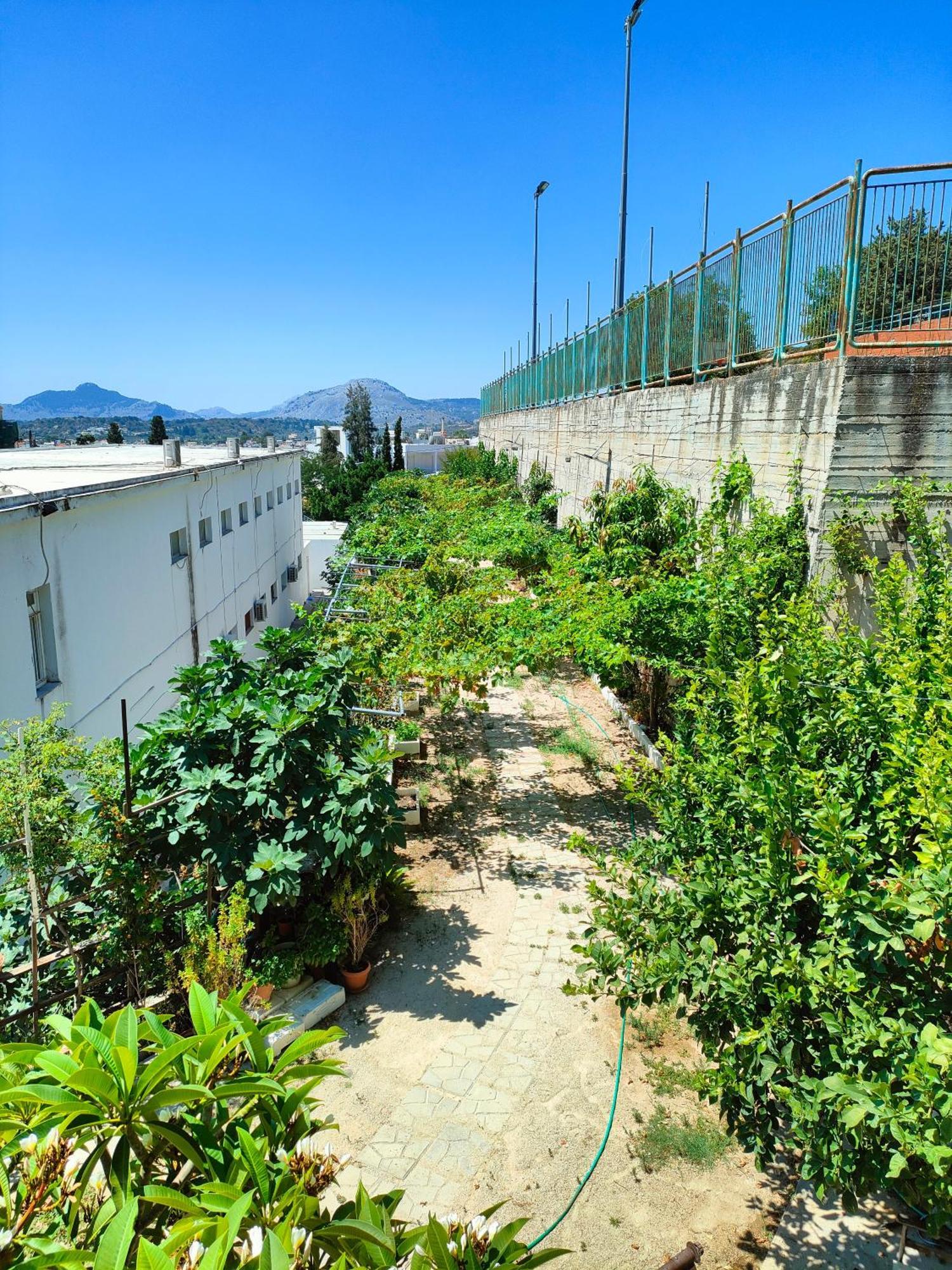 Sky-Line Apartments Afantou Exterior photo